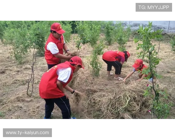 赫罗纳拟引进一名能在高位参与组织的攻击手